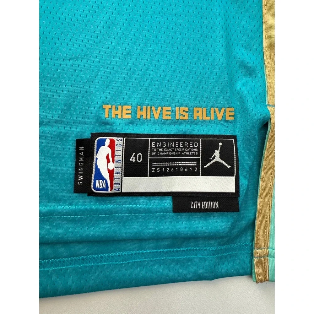 NBA Jordan Charlotte Hornets Buzz City DriFit City Edition Jersey Mens Small New
